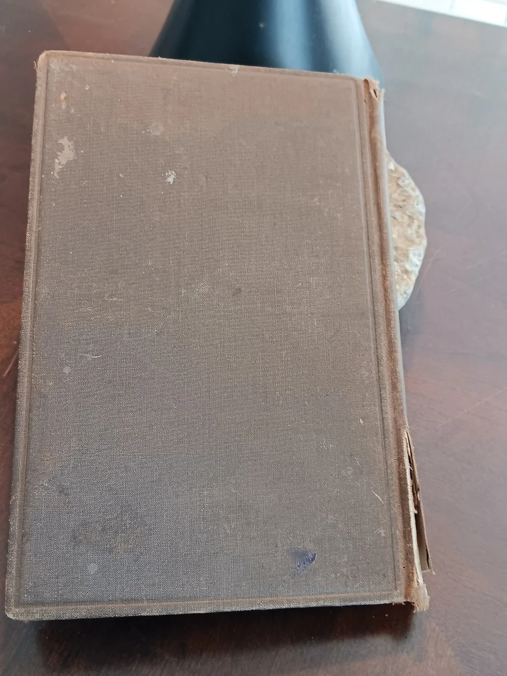 1887 Twenty Years Among the Mexicans Melinda Rankin Antique Hardcover Texas Mexi
